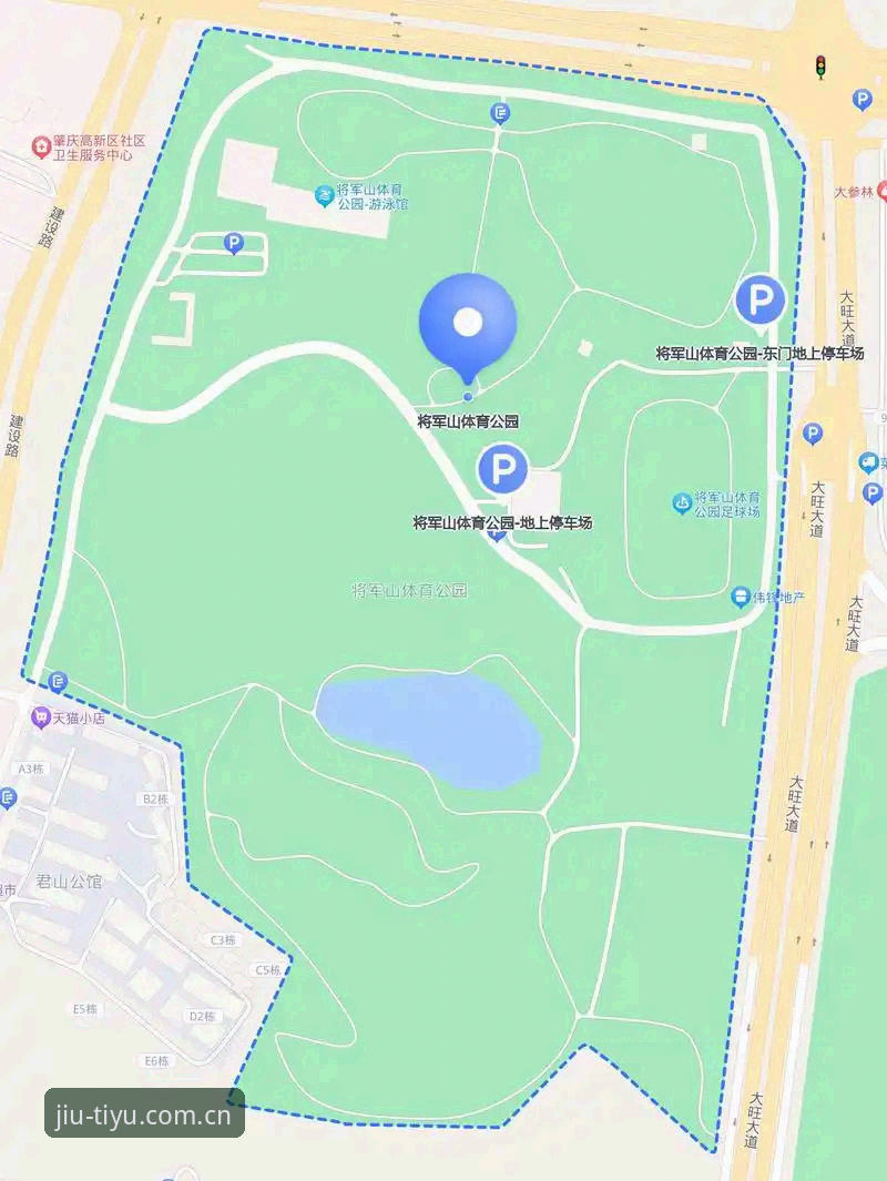 九体育下载地址使用指南详解：从安装到流畅观赛的全面解析